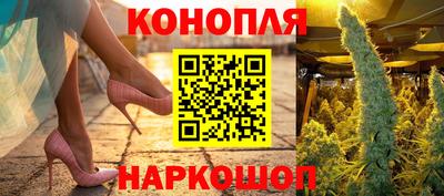 прущие грибы Жуковский